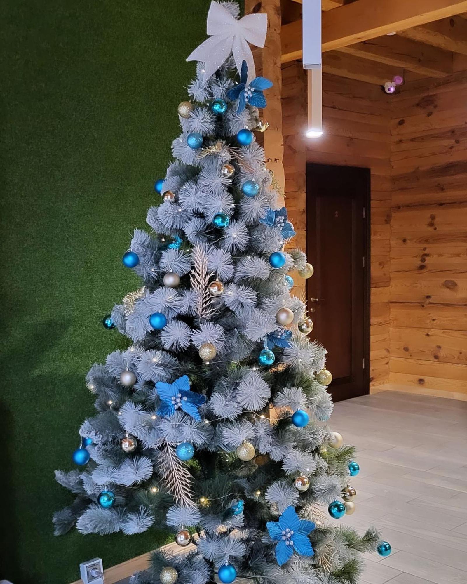Apartament Golden Nest Jabłonica Zewnętrze zdjęcie