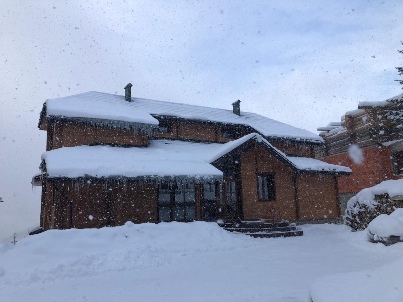 Apartament Golden Nest Jabłonica Zewnętrze zdjęcie